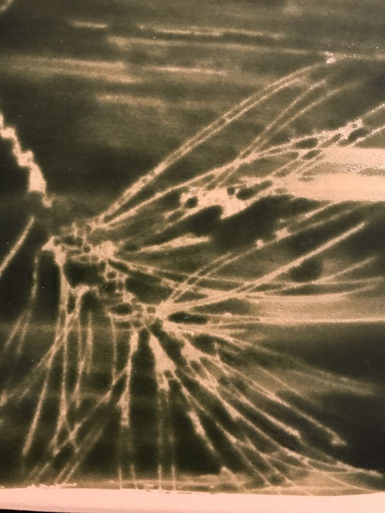 011 62568615325__7CEA7A24-543E-49DA-8B22-D31A80B3732D